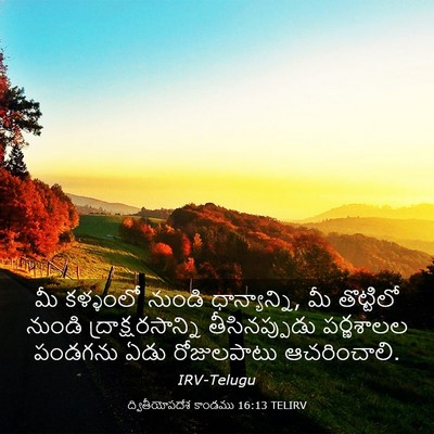 Picture 03 - ద్వితీయోపదేశ కాండము 16:13 TELIRV - మీ కళ్ళంలో నుండి - Bible Verse Picture