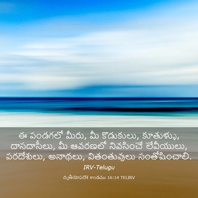 Picture 03 - ద్వితీయోపదేశ కాండము 16:14 TELIRV - ఈ పండగలో మీరు, మీ - Bible Verse Picture