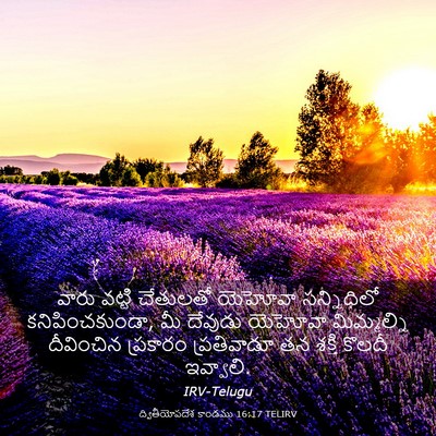 Picture 03 - ద్వితీయోపదేశ కాండము 16:17 TELIRV - వారు వట్టి - Bible Verse Picture