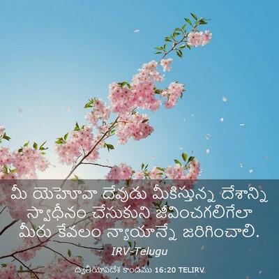 Picture 03 - ద్వితీయోపదేశ కాండము 16:20 TELIRV - మీ యెహోవా దేవుడు - Bible Verse Picture