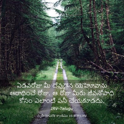 Picture 03 - ద్వితీయోపదేశ కాండము 16:8 TELIRV - ఏడవరోజు మీ - Bible Verse Picture