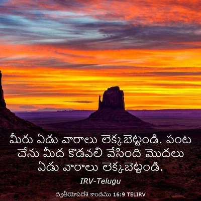 Picture 03 - ద్వితీయోపదేశ కాండము 16:9 TELIRV - మీరు ఏడు వారాలు - Bible Verse Picture