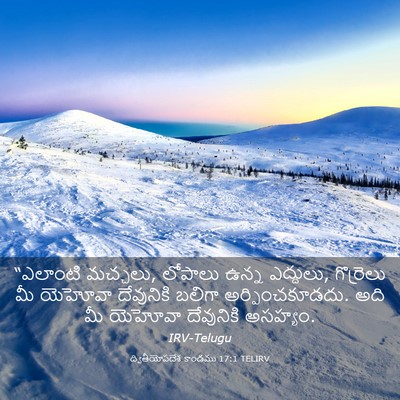 Picture 03 - ద్వితీయోపదేశ కాండము 17:1 TELIRV - “ఎలాంటి మచ్చలు, - Bible Verse Picture