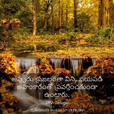 Picture 03 - ద్వితీయోపదేశ కాండము 17:13 TELIRV - అప్పుడు ప్రజలంతా - Bible Verse Picture