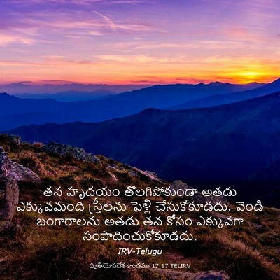 Picture 03 - ద్వితీయోపదేశ కాండము 17:17 TELIRV - తన హృదయం - Bible Verse Picture
