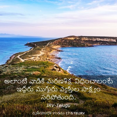 Picture 03 - ద్వితీయోపదేశ కాండము 17:5 TELIRV - అలాంటి వాడికి - Bible Verse Picture