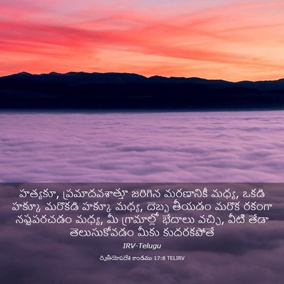 Picture 03 - ద్వితీయోపదేశ కాండము 17:8 TELIRV - హత్యకూ, - Bible Verse Picture