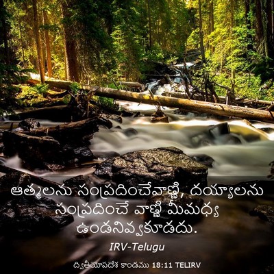 Picture 03 - ద్వితీయోపదేశ కాండము 18:11 TELIRV - ఆత్మలను - Bible Verse Picture