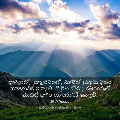 Picture 03 - ద్వితీయోపదేశ కాండము 18:4 TELIRV - ధాన్యంలో, - Bible Verse Picture