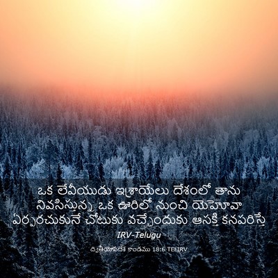 Picture 03 - ద్వితీయోపదేశ కాండము 18:6 TELIRV - ఒక లేవీయుడు - Bible Verse Picture