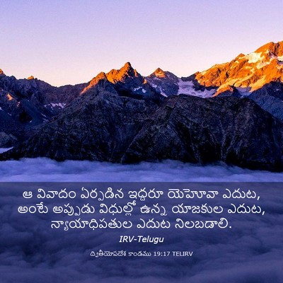 Picture 03 - ద్వితీయోపదేశ కాండము 19:17 TELIRV - ఆ వివాదం ఏర్పడిన - Bible Verse Picture