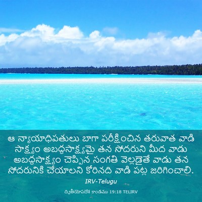 Picture 03 - ద్వితీయోపదేశ కాండము 19:18 TELIRV - ఆ న్యాయాధిపతులు - Bible Verse Picture