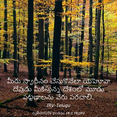 Picture 03 - ద్వితీయోపదేశ కాండము 19:2 TELIRV - మీరు స్వాధీనం - Bible Verse Picture