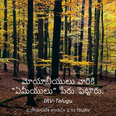 Picture 03 - ద్వితీయోపదేశ కాండము 2:11 TELIRV - మోయాబీయులు వారికి - Bible Verse Picture