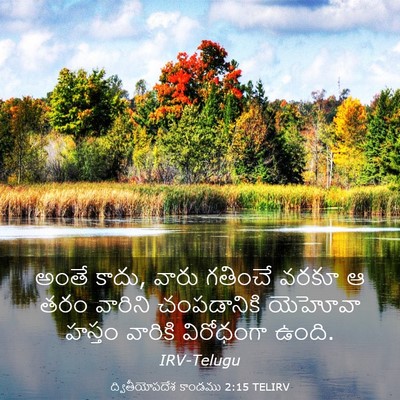Picture 03 - ద్వితీయోపదేశ కాండము 2:15 TELIRV - అంతే కాదు, వారు - Bible Verse Picture