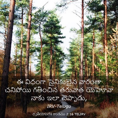 Picture 03 - ద్వితీయోపదేశ కాండము 2:16 TELIRV - ఈ విధంగా - Bible Verse Picture