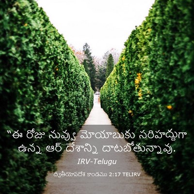 Picture 03 - ద్వితీయోపదేశ కాండము 2:17 TELIRV - “ఈ రోజు నువ్వు - Bible Verse Picture