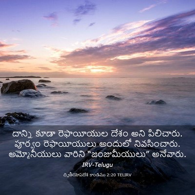 Picture 03 - ద్వితీయోపదేశ కాండము 2:20 TELIRV - దాన్ని కూడా - Bible Verse Picture