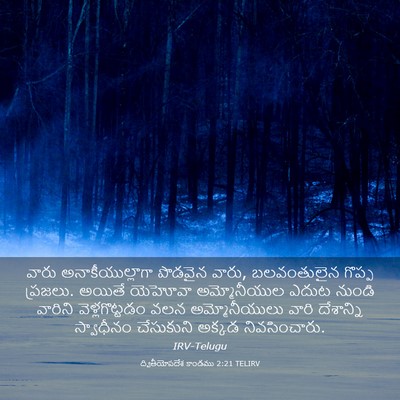 Picture 03 - ద్వితీయోపదేశ కాండము 2:21 TELIRV - వారు - Bible Verse Picture