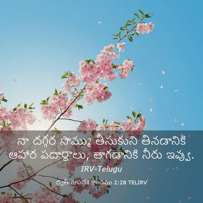 Picture 03 - ద్వితీయోపదేశ కాండము 2:28 TELIRV - నా దగ్గర సొమ్ము - Bible Verse Picture