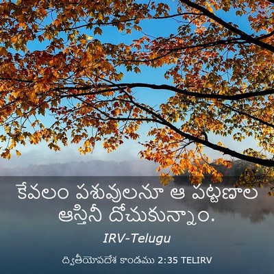 Picture 03 - ద్వితీయోపదేశ కాండము 2:35 TELIRV - కేవలం పశువులనూ ఆ - Bible Verse Picture
