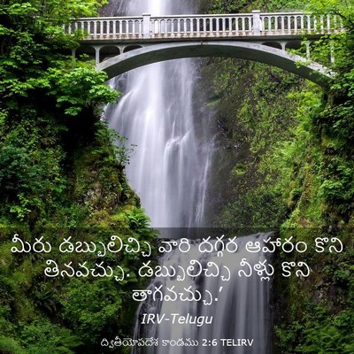 Picture 03 - ద్వితీయోపదేశ కాండము 2:6 TELIRV - మీరు డబ్బులిచ్చి - Bible Verse Picture