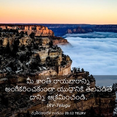 Picture 03 - ద్వితీయోపదేశ కాండము 20:12 TELIRV - మీ శాంతి - Bible Verse Picture