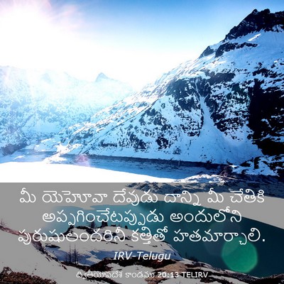 Picture 03 - ద్వితీయోపదేశ కాండము 20:13 TELIRV - మీ యెహోవా దేవుడు - Bible Verse Picture