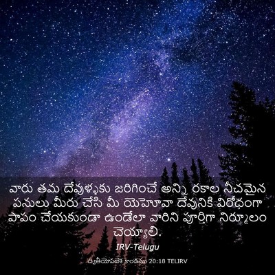 Picture 03 - ద్వితీయోపదేశ కాండము 20:18 TELIRV - వారు తమ దేవుళ్ళకు - Bible Verse Picture