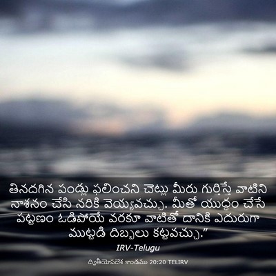 Picture 03 - ద్వితీయోపదేశ కాండము 20:20 TELIRV - తినదగిన పండ్లు - Bible Verse Picture