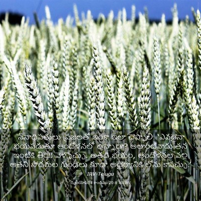 Picture 03 - ద్వితీయోపదేశ కాండము 20:8 TELIRV - సేనాధిపతులు - Bible Verse Picture