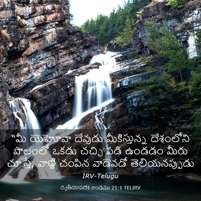 Picture 03 - ద్వితీయోపదేశ కాండము 21:1 TELIRV - “మీ యెహోవా దేవుడు - Bible Verse Picture