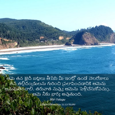 Picture 03 - ద్వితీయోపదేశ కాండము 21:13 TELIRV - ఆమె తన ఖైదీ బట్టలు - Bible Verse Picture