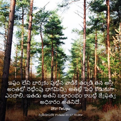 Picture 03 - ద్వితీయోపదేశ కాండము 21:17 TELIRV - ఇష్టం లేని - Bible Verse Picture