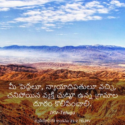 Picture 03 - ద్వితీయోపదేశ కాండము 21:2 TELIRV - మీ పెద్దలూ, - Bible Verse Picture