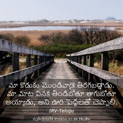 Picture 03 - ద్వితీయోపదేశ కాండము 21:20 TELIRV - మా కొడుకు - Bible Verse Picture