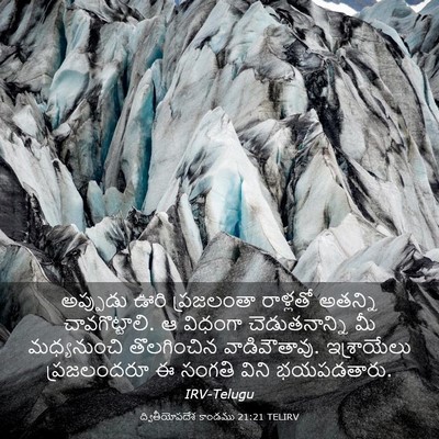 Picture 03 - ద్వితీయోపదేశ కాండము 21:21 TELIRV - అప్పుడు ఊరి - Bible Verse Picture