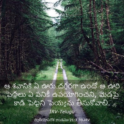 Picture 03 - ద్వితీయోపదేశ కాండము 21:3 TELIRV - ఆ శవానికి ఏ ఊరు - Bible Verse Picture