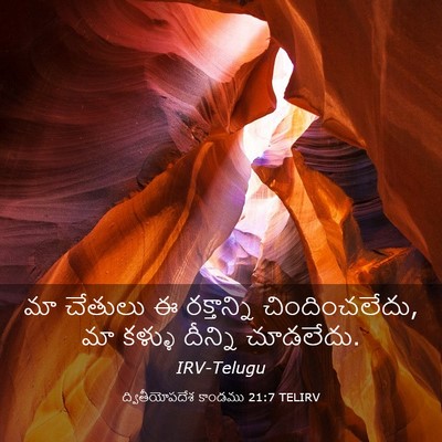 Picture 03 - ద్వితీయోపదేశ కాండము 21:7 TELIRV - మా చేతులు ఈ - Bible Verse Picture