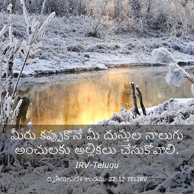Picture 03 - ద్వితీయోపదేశ కాండము 22:12 TELIRV - మీరు కప్పుకొనే మీ - Bible Verse Picture