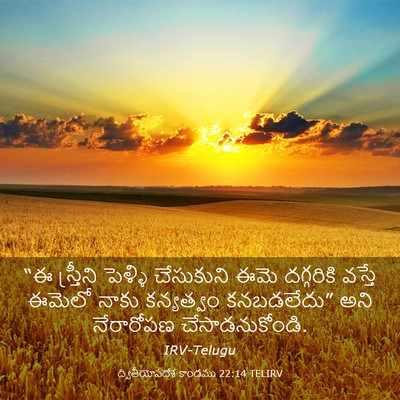Picture 03 - ద్వితీయోపదేశ కాండము 22:14 TELIRV - “ఈ స్త్రీని - Bible Verse Picture