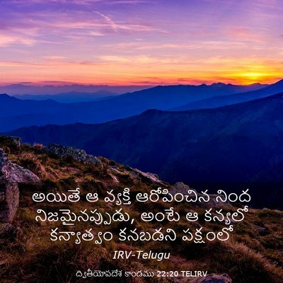 Picture 03 - ద్వితీయోపదేశ కాండము 22:20 TELIRV - అయితే ఆ వ్యక్తి - Bible Verse Picture