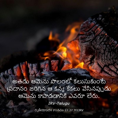Picture 03 - ద్వితీయోపదేశ కాండము 22:27 TELIRV - అతడు ఆమెను పొలంలో - Bible Verse Picture