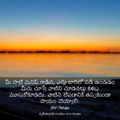 Picture 03 - ద్వితీయోపదేశ కాండము 22:4 TELIRV - మీ సాటి మనిషి - Bible Verse Picture
