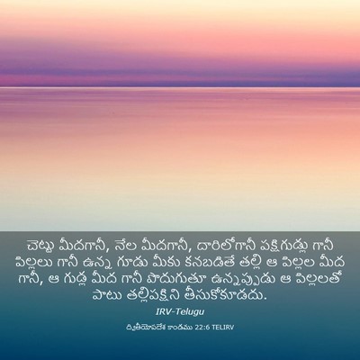 Picture 03 - ద్వితీయోపదేశ కాండము 22:6 TELIRV - చెట్టు మీదగానీ, - Bible Verse Picture
