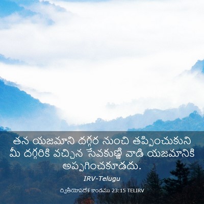 Picture 03 - ద్వితీయోపదేశ కాండము 23:15 TELIRV - తన యజమాని దగ్గర - Bible Verse Picture