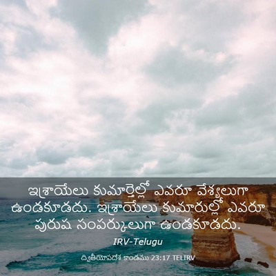 Picture 03 - ద్వితీయోపదేశ కాండము 23:17 TELIRV - ఇశ్రాయేలు - Bible Verse Picture
