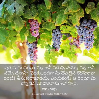 Picture 03 - ద్వితీయోపదేశ కాండము 23:18 TELIRV - పురుష సంపర్కం - Bible Verse Picture