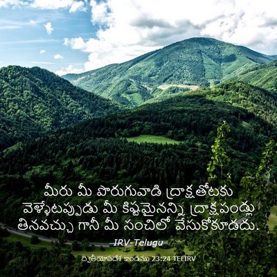 Picture 03 - ద్వితీయోపదేశ కాండము 23:24 TELIRV - మీరు మీ - Bible Verse Picture