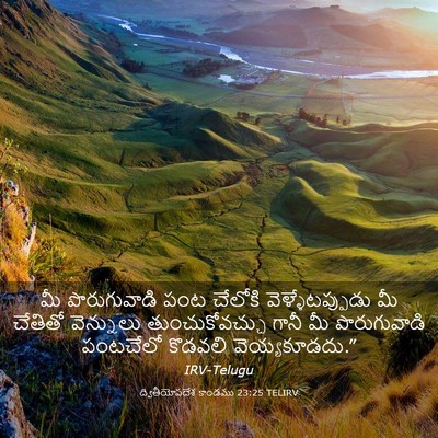 Picture 03 - ద్వితీయోపదేశ కాండము 23:25 TELIRV - మీ పొరుగువాడి పంట - Bible Verse Picture